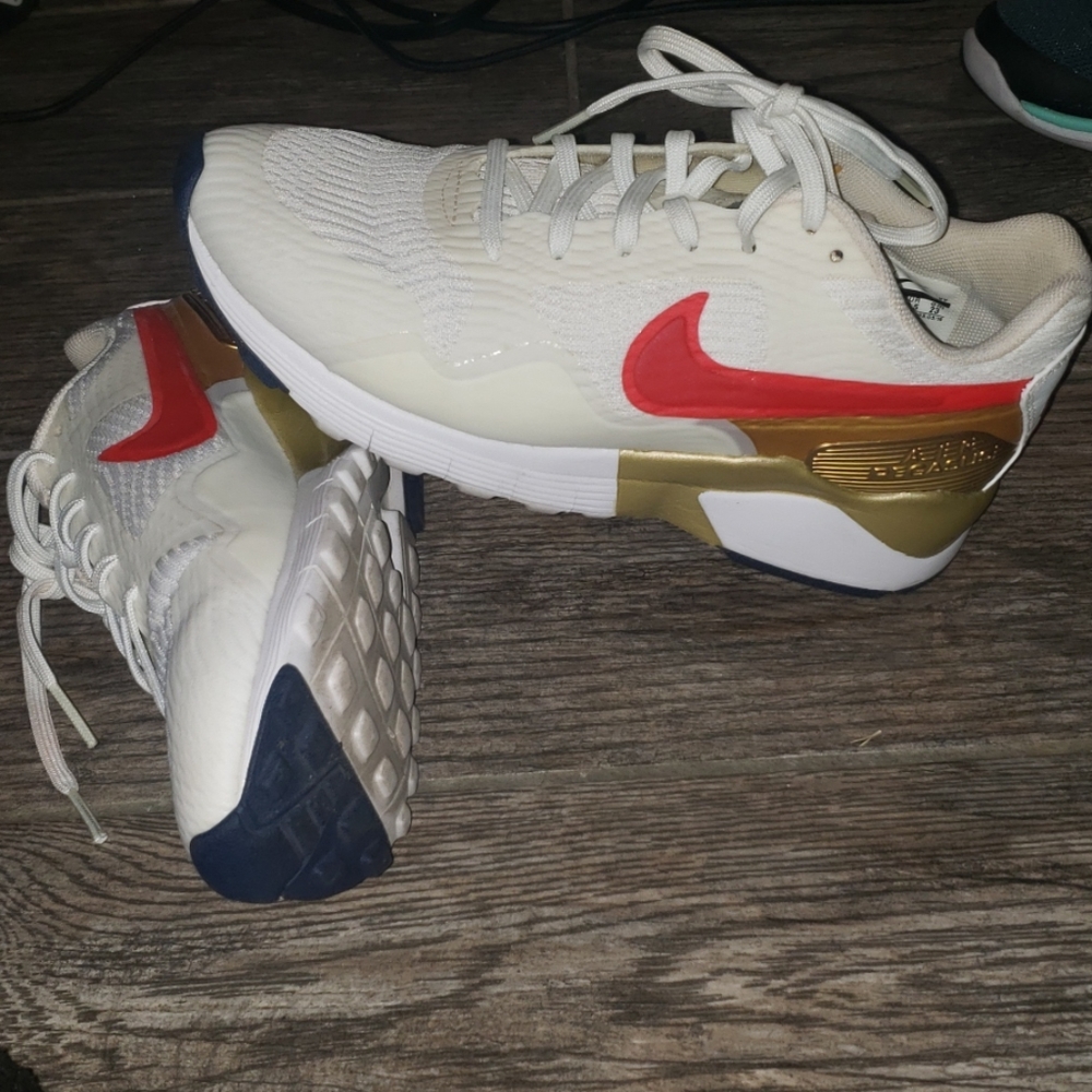 Nike Pegasus Air Max